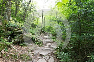 Scenic Waterfall in Ricketts Glen State Park in The Poconos in P