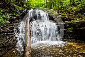 Scenic Waterfall in Ricketts Glen State Park in The Poconos in P