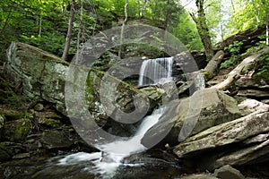 Scenic Waterfall in Ricketts Glen State Park in The Poconos in P