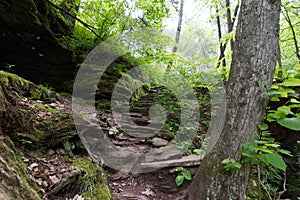 Scenic Waterfall in Ricketts Glen State Park in The Poconos in P