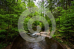 Scenic Waterfall in Ricketts Glen State Park in The Poconos in P