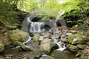 Scenic Waterfall in Ricketts Glen State Park in The Poconos in P