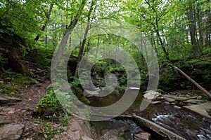 Scenic Waterfall in Ricketts Glen State Park in The Poconos in P