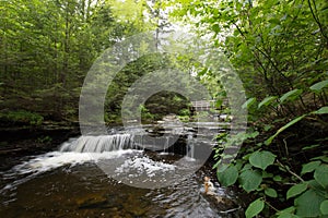 Scenic Waterfall in Ricketts Glen State Park in The Poconos in P