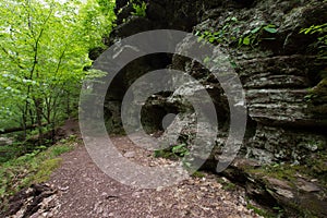 Scenic Waterfall in Ricketts Glen State Park in The Poconos in P