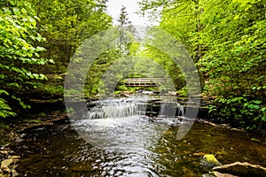 Scenic Waterfall in Ricketts Glen State Park in The Poconos in P