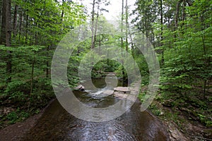 Scenic Waterfall in Ricketts Glen State Park in The Poconos in P