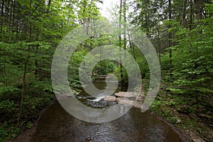 Scenic Waterfall in Ricketts Glen State Park in The Poconos in P