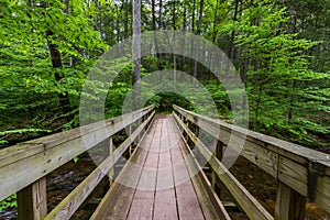 Scenic Waterfall in Ricketts Glen State Park in The Poconos in P