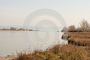 Scenic wetland landsape of nature reserve of river mouth Isonzo