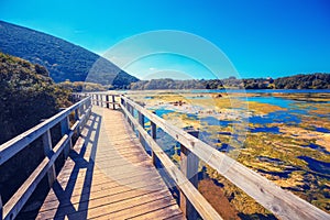 Wooden walking trail by the lake photo