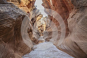 Scenic Willis Creek Slot Canyon Utah