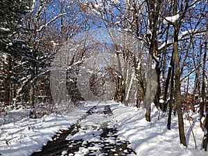 Scenic winter drive on sunny day