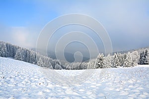 Scenic winter landscape