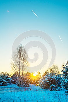 Scenic winter landscape