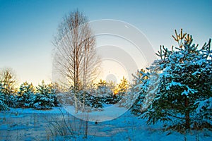 Scenic winter landscape