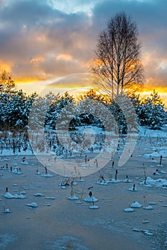 Scenic winter landscape