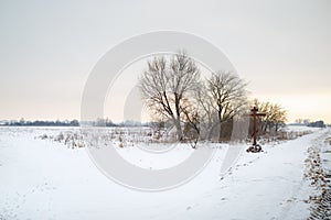 Scenic winter landscape