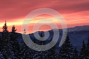 Scenic winter landscape, Carpathians, Ukraine, Europe, Chornohora range