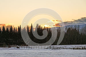 Scenic winter landscape featuring a tranquil snow-covered field with trees at sunset