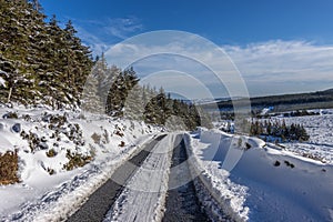 Scenic winter landscape featuring a winding road surrounded by snow-covered trees