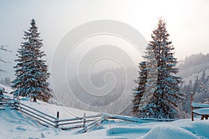 scenic winter landscape, picturesque morning nature view  in mountains, Carpathians, Ukraine, Europe