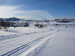 Scenic winter landscape in Rauland with cross-country skiing track