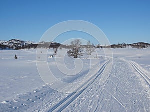 Scenic winter landscape in Rauland with cross-country skiing track