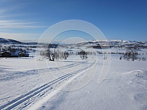 Scenic winter landscape in Rauland with cross-country skiing track