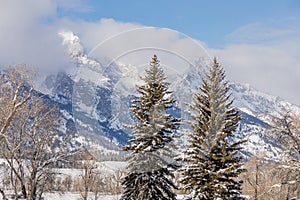 Scenic Winter Landscape in Teton National Park