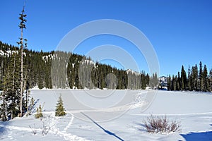 A scenic winter landscape view of cross country skii trackers on top of a frozen lake covered in snow and surrounded by evergreen photo