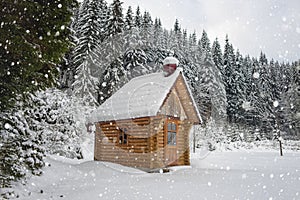 Scenic winter landscape with wooden mountain hut surrounded by fir forest during snowfall, outdoor travel background