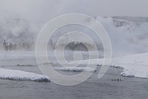 Scenic Winter Landscape in Yellowstone National Park