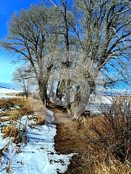 Scenic winter mountain landscape in the backroads of Laramie , Wyoming photo