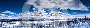 Scenic winter panorama of mountains in Northern Sweden. Lappland, birch forest