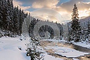 Scenic winter sunset landscape with small winding mountain river, fluffy snow, snowy fir trees and colorful sky with clouds