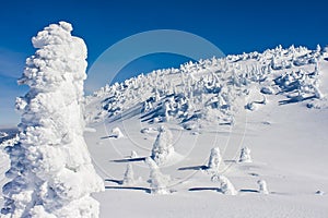 Scenic Winter View in Canada's Cold Mountain Winters