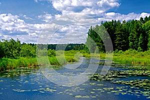 Scenic Wisconsin Wilderness