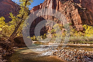 Scenic Zion Narrows in Fall