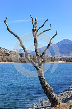 A scenics view of the Embrun, France lake with snowy mountains range in the background under a majestic blue sky