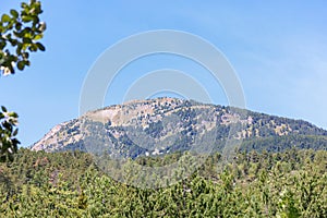 A scenics view of a majestic mountain summit (Mont Guillaume) with pine trees forest under a majestic blue sky