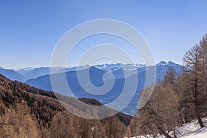 A scenics view of majestic snowy mountains summits in the Hautes-alpes, France with brown pine trees forest