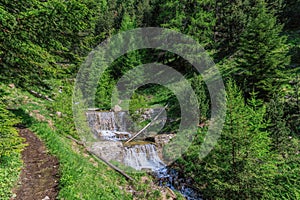 A scenics view of a mountain stream with waterfall and surrounded by pine trees