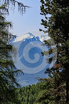 A scenics view of a snowy rocky mountain summit accross pine trees forest under a majestic blue sky