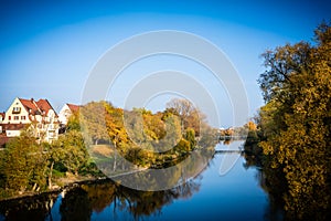 Scenics view of trees near the river photo