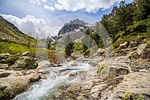 Landscape of mountains river and forest photo