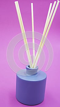 Scent bottle with scent diffuser sticks