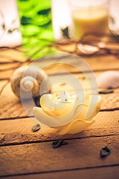 Scented candle sea shells wooden background