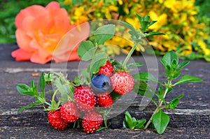 Scented plants and fruit