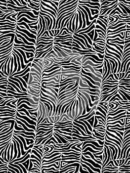 Scewed zebra print